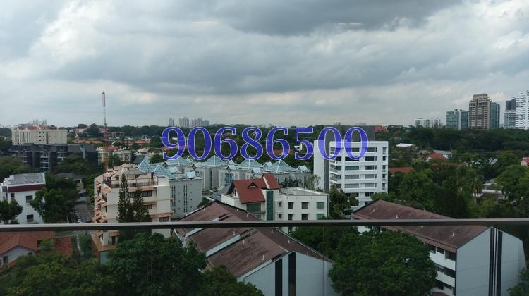 One Jervois (D10), Condominium #160149482